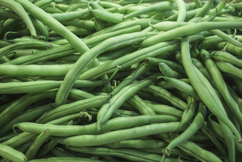 Fagiolini, il legume con le proprietà di un ortaggio
