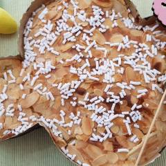 Colomba di pasqua veloce
