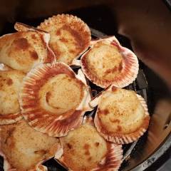 CANESTRELLI DI MARE FRIGGITRICE AD ARIA
