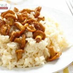 Risotto ai finferli