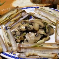 Funghi e cannolicchi