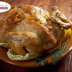 Pollo alla Diavola