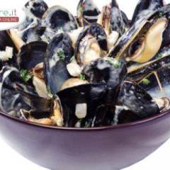Cozze in salsa di vino bianco e panna