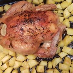 Pollo al forno