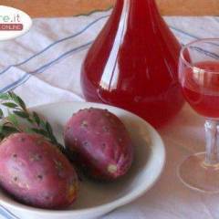 Liquore ai fichi d'india: la ricetta nei dettagli