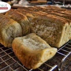 Parker House Rolls
