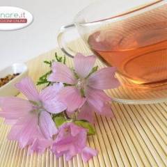 Infuso di Malva