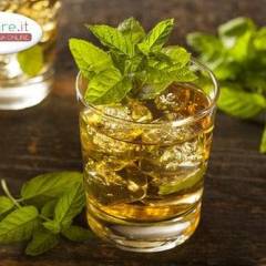 Mint Julep Drink
