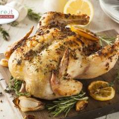 Pollo magro