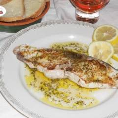 Trancio di Ricciola arrostito con Salsa aromatica