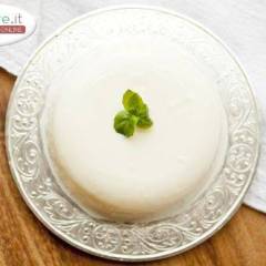 Panna cotta al basilico