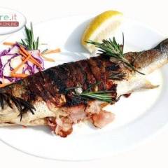 Carpa Regina con Porchetta