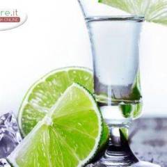 Succo di Sambuco