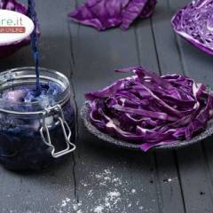 Cavolo Cappuccio Viola sottaceto