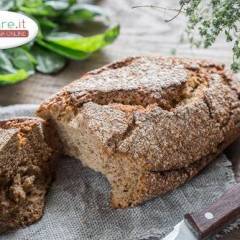 Pane dukan