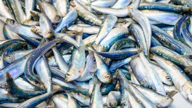 Venerdi Santo Si Mangia Carne Cosa Si Mangia Il Venerdì Santo