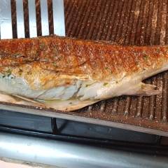 Branzino alla Piastra
