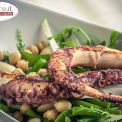Polpo con Legumi e Rucola
