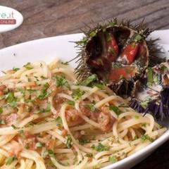 Pasta con Polpa di Riccio