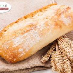 Pane Ciabatta