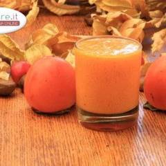 Frullato di Cachi, Mele e Yogurt di Soia