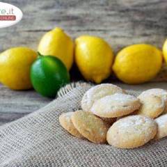 Biscotti al Limoncello