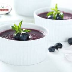 Mousse ai Mirtilli