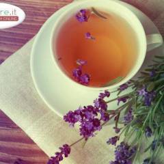 Sciroppo alla Lavanda