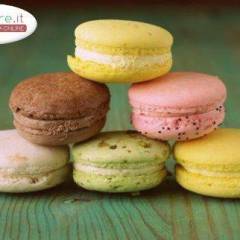 Macarons Multicolor