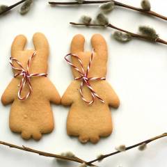 BISCOTTI DI PASQUA BIMBY