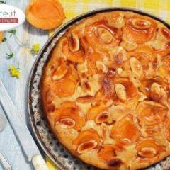 Crostata alle Albicocche