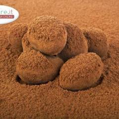 Tartufini al doppio Cioccolato con Arachidi