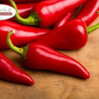 1 Peperoncino rosso piccante