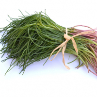 1 kg di Agretti