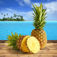 4 grandi fette d'Ananas