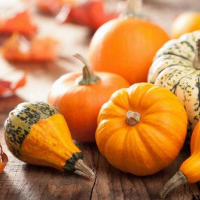 500 gr di Polpa di Zucca