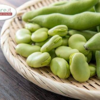 160 gr. di Fave sgranate