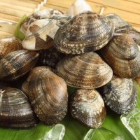 una decina di Vongole veraci con il guscio