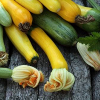 500 g. di Zucchine bianche lunghe