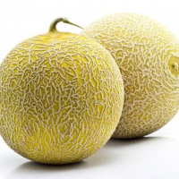 300 gr. di Melone maturo