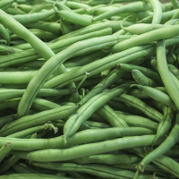 1 manciata di Fagiolini lessati in acqua bollente salata