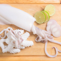 500 gr. di Calamaro fresco (il peso si riferisce al prodotto pulito)