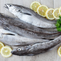 800 gr di Filetto di Merluzzo