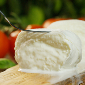 80 gr. di Mozzarella