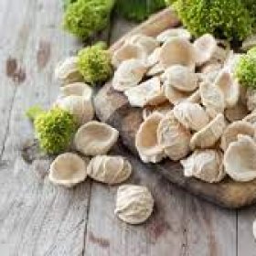 320 gr. di Orecchiette integrali