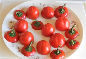 Peperoncini tondi al forno con erbe aromatiche   preparazione 1