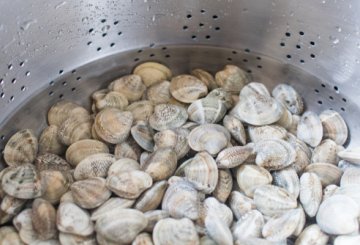 Cordelle con lupini di mare al rosso preparazione 0