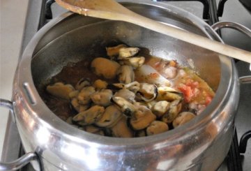 Bucatini al brodetto di cozze mazzancolle e calamaretti preparazione 4