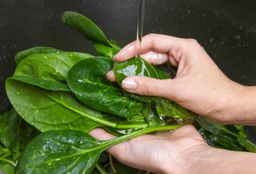 Frittata di spinaci preparazione 0