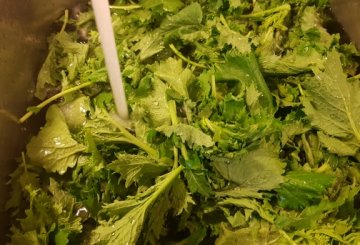 Orecchiette con le cime di rapa preparazione 0